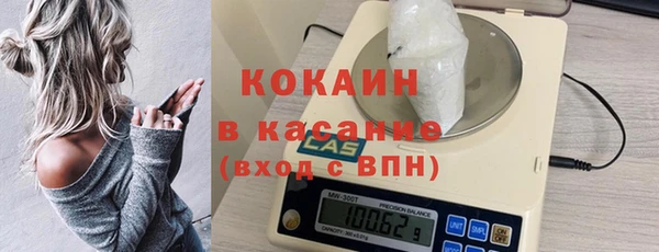 индика Новокубанск