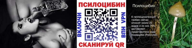 blacksprut рабочий сайт Чаплыгин Галлюциногенные грибы Cubensis